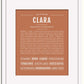 Frame Options | Terra Cotta | White Frame, Matted