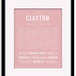 Frame Options | Dusty Rose | Black Frame, Matted