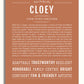 Frame Options | Terra Cotta | White Frame, Matted