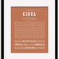 Frame Options | Terra Cotta | Black Frame, Matted