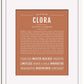 Frame Options | Terra Cotta | White Frame, Matted