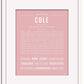 Frame Options | Dusty Rose | White Frame, Matted