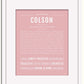 Frame Options | Dusty Rose | White Frame, Matted