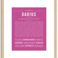 Darius | Name Art Print