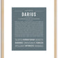 Darius | Name Art Print