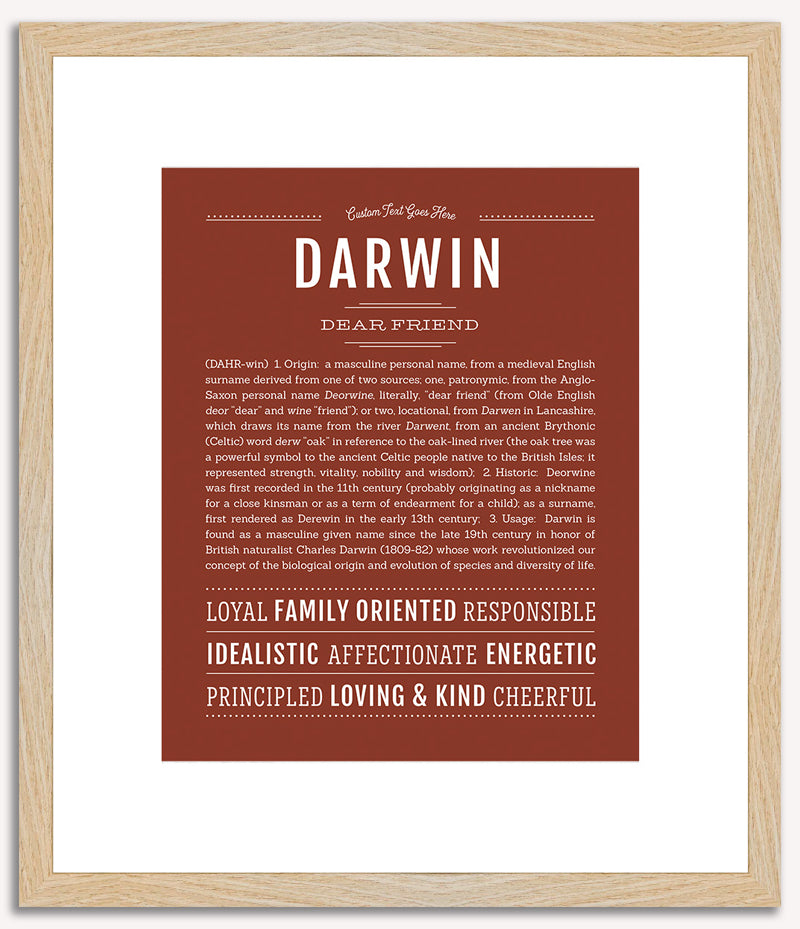 Darwin | Name Art Print