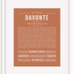 Frame Options | Terra Cotta | White Frame, Matted