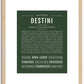 Destini | Name Art Print