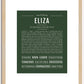 Eliza | Name Art Print