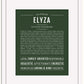 Elyza | Name Art Print