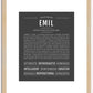 Emil | Name Art Print