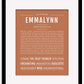 Frame Options | Terra Cotta | Maple Frame, Matted
