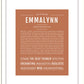 Frame Options | Terra Cotta | Black Frame, Matted