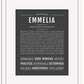 Emmelia | Name Art Print