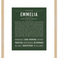 Emmelia | Name Art Print