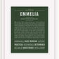 Emmelia | Name Art Print