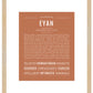 Frame Options | Terra Cotta | Maple Frame, Matted