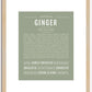 Ginger | Name Art Print