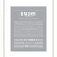 Haidyn | Name Art Print