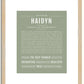 Haidyn | Name Art Print