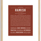 Hamish | Name Art Print