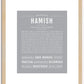 Hamish | Name Art Print