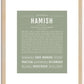 Hamish | Name Art Print