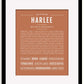 Frame Options | Terra Cotta | Black Frame, Matted