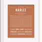 Frame Options | Terra Cotta | White Frame, Matted