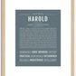 Harold | Name Art Print