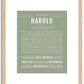 Harold | Name Art Print