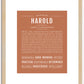 Harold | Name Art Print