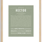 Hector | Name Art Print