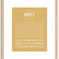 Hoyt | Name Art Print