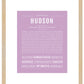 Hudson | Name Art Print