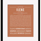 Frame Options | Terra Cotta | Black Frame, Matted