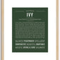 Ivy | Name Art Print