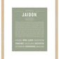 Jaidon | Name Art Print