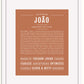 Frame Options | Terra Cotta | White Frame, Matted