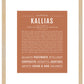 Frame Options | Terra Cotta | Maple Frame, Matted