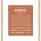 Kandace | Name Art Print