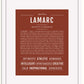 Frame Options | Bordeaux | White Frame, Matted