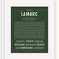 Frame Options | Deep Forest | White Frame, Matted