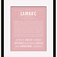 Frame Options | Dusty Rose | Black Frame, Matted