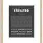 Leonardo | Name Art Print