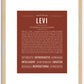 Levi | Name Art Print