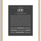 Levi | Name Art Print