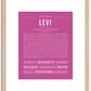 Levi | Name Art Print