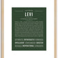 Levi | Name Art Print