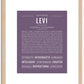 Levi | Name Art Print